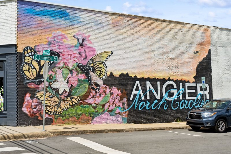 Colorful Angier, North Carolina mural with butterflies and flowers.