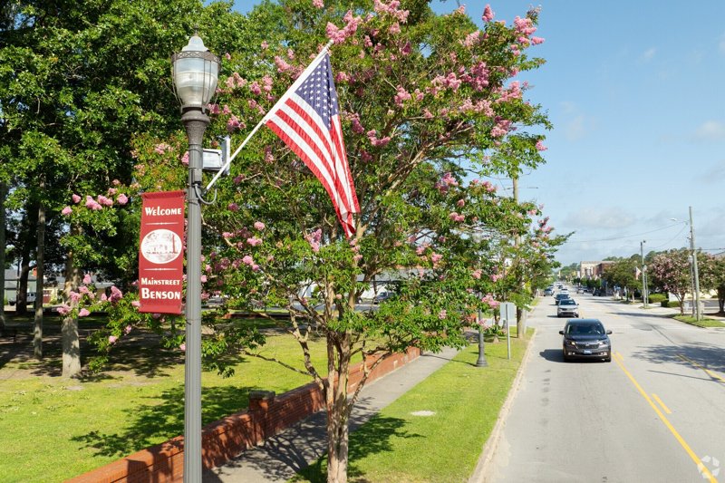 Main Street Benson streetscape with American flag and blooming trees.