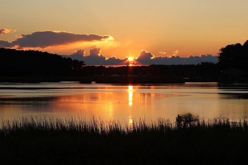 Sunset over calm coastal waters with silhouetted trees and reflections in Calabash, NC
