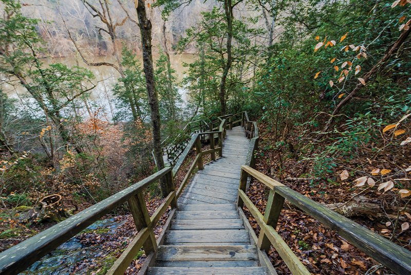Wooden trail stairs down to Cape Fear River at Raven Rock State Park Lillington North Carolina