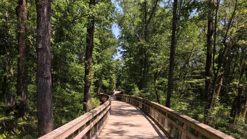 Wooden boardwalk along a forested greenway trail in Raleigh, North Carolina.